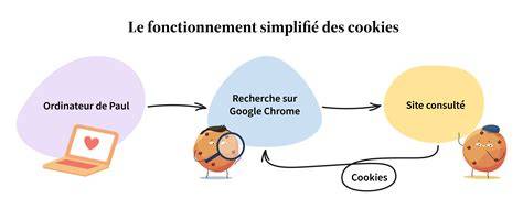 Infographie sur les cookies et la confidentialité