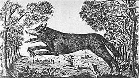 illustration Loup-Garou et mythes antiques