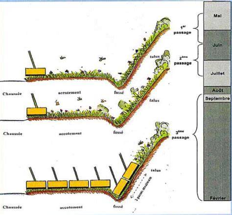 schéma zones fauche et progression