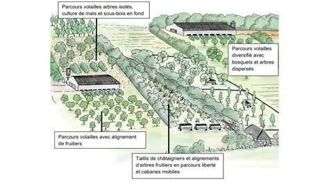 schéma et parcours d'élevage des dragodindes