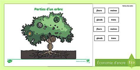 arbre et invocations interface schéma