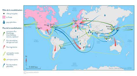 Carte et flux de niveau etportail