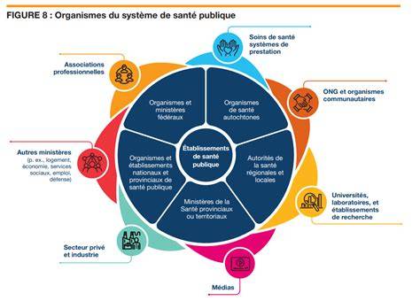 infographie synergies medias et sante publique
