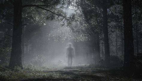 infographie des phénomènes paranormaux et des explications possibles