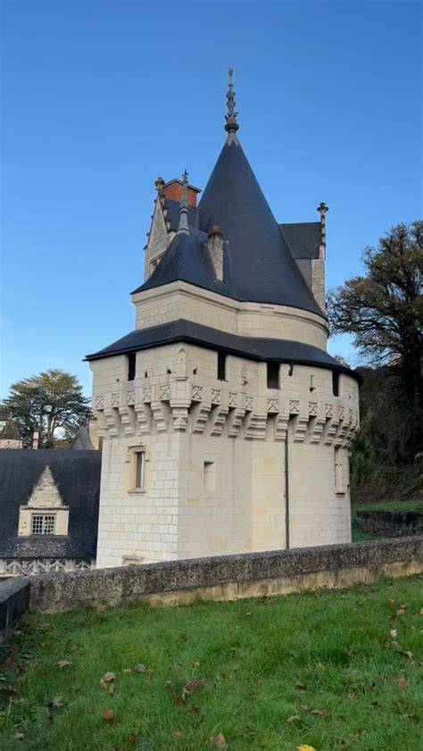 Donjon et Logis Royal architecture vue générale