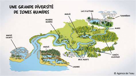 schéma des zones d'XP Pandawa Eau