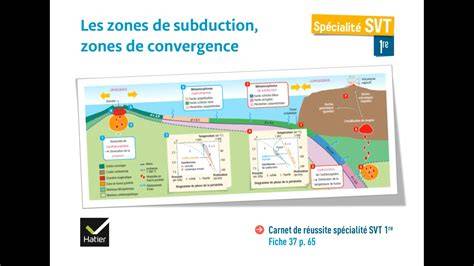 schéma des zones de prédilection et bonus