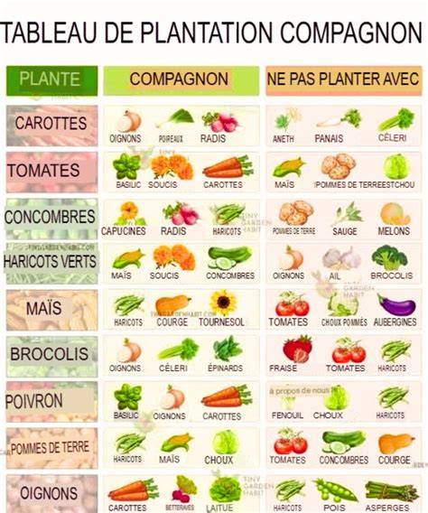 Guide visuel des panoplies Cra Terre