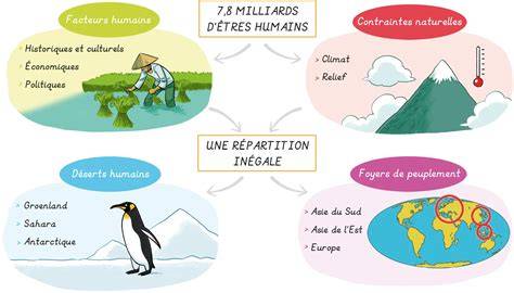 Schéma répartition stats et progression (Terre Ecaflip)