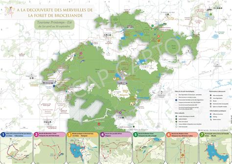 Illustration de carte de forêt et campement