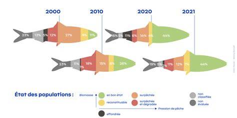 diagramme-populations-mmo (diagramme des populations des MMO)