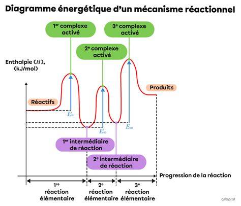 diagramme des voies élémentaires Enutrof
