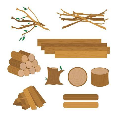 illustration zones et types bois