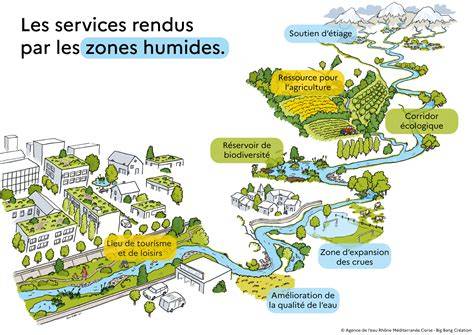 schéma des zones écologiques et des niveaux