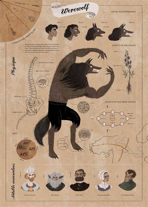 course infographics mythology werewolves vampires