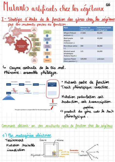 infographie: gènes et synergies des Mutants