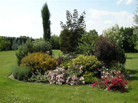 image de fleurs et marges fleuries