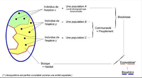 schéma d’emboîtement des modifications