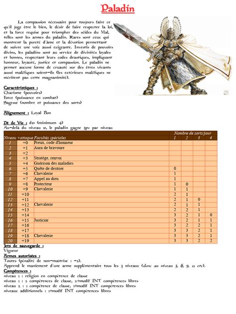 caractéristiques visuelles du paladin fantasy