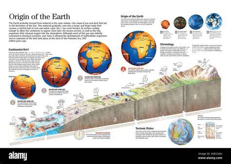 Infographie des panoplies Iop Terre