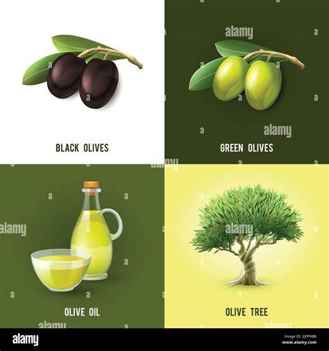 illustration colorants arborescence