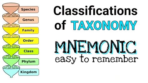 illustrationOvO_paires_classifications