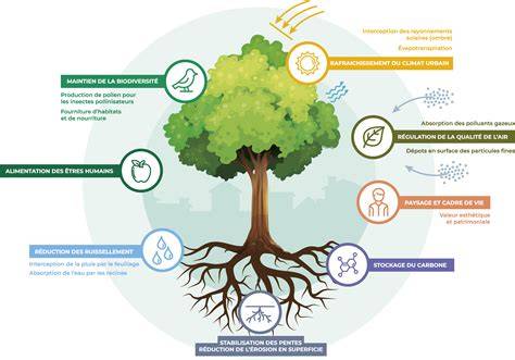 Infographie: arbres de progression et stuffs Eau