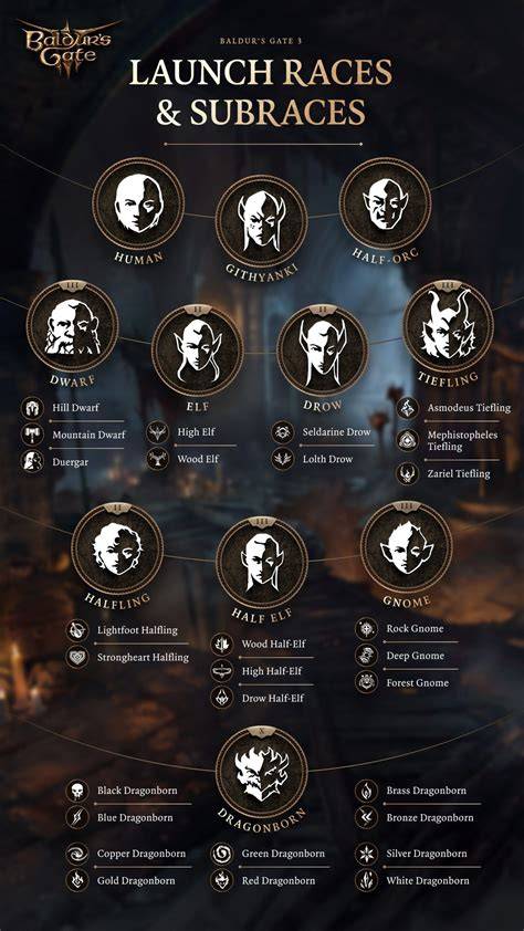 image infographique des classes et compétences BG3