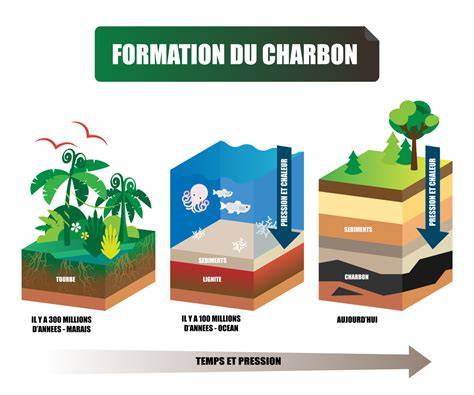 schéma formation dynastie et unités nécrons