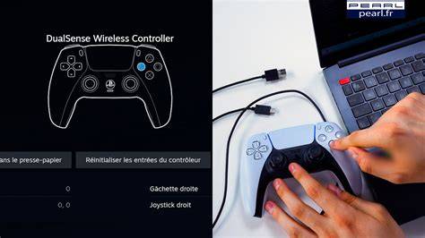capture d’écran interface manette Wakfu