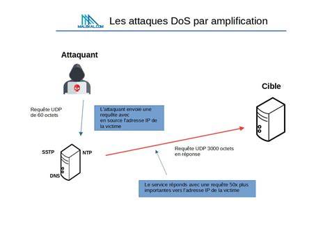schéma des attaques et points faibles Nerigantre