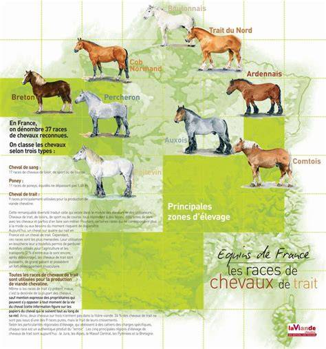 carte des races et répercussions