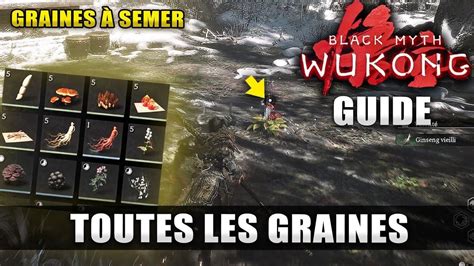 graines goroku emplacements pandala