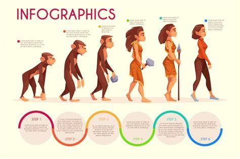 infographie evolution image femme JDR