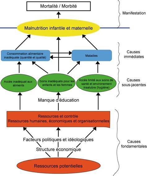 Population et alimentation infantile conceptuelle