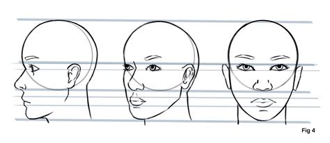 fiches personnage references 3 vues vue face profil dos