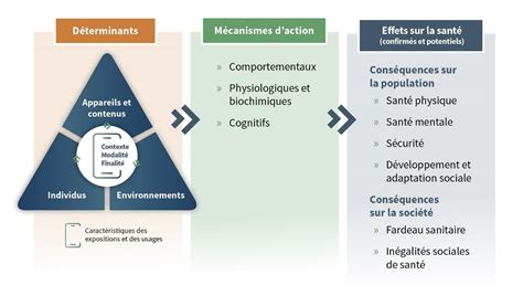schemes des châtiments et leurs effets